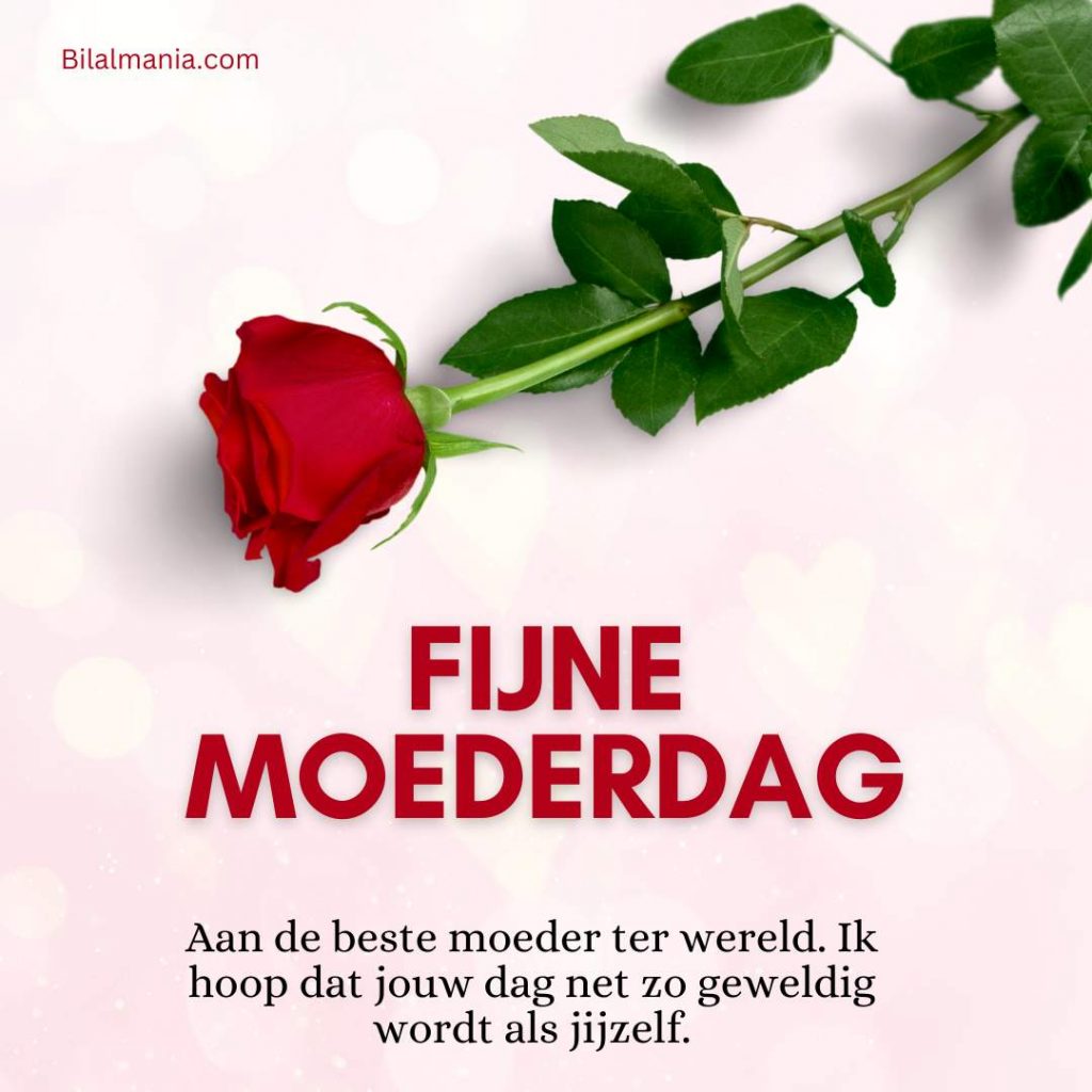 Fijne Moederdag 2025